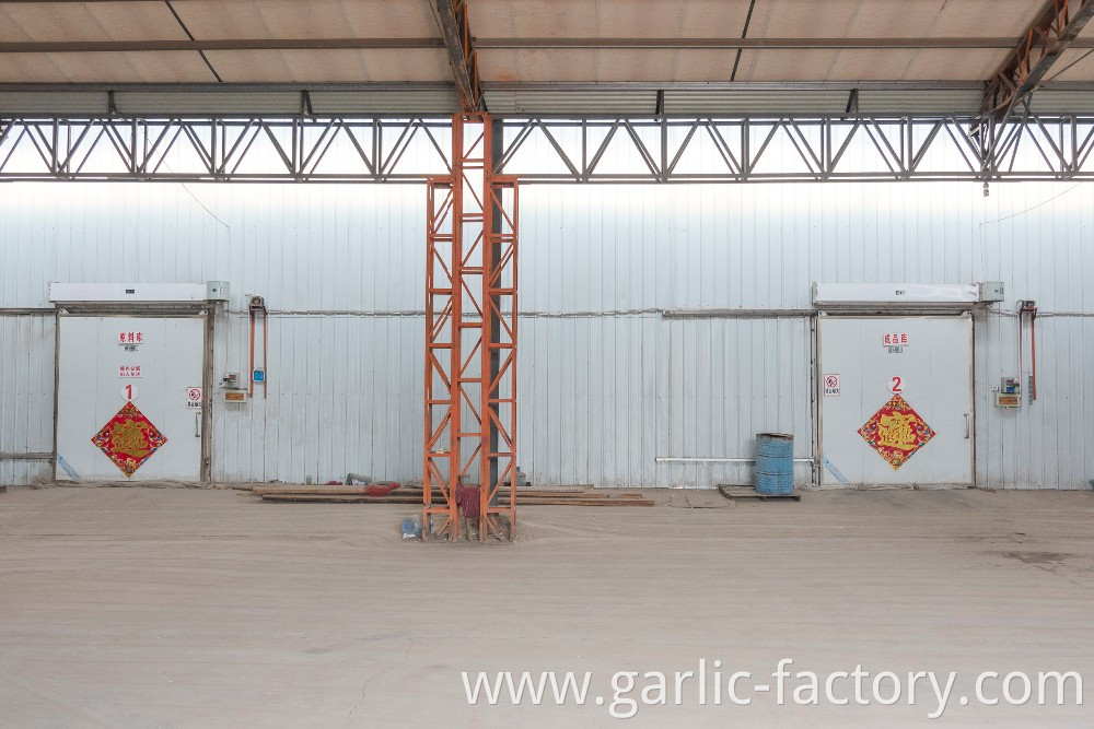 Factory Wholesale Fresh Garlic Price